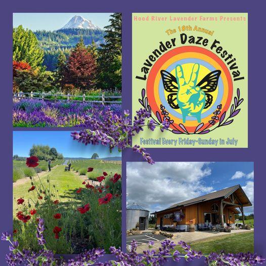 Lavender Daze Festival Hood River Oregon Festivals